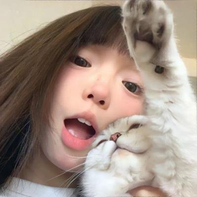 圣诞爪喵喵响叮当